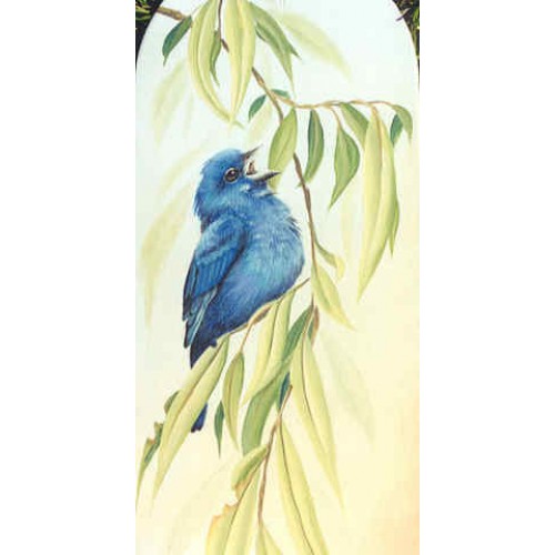 Indigo Buntings and Willow