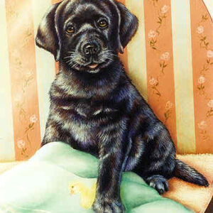 Black Lab Puppy