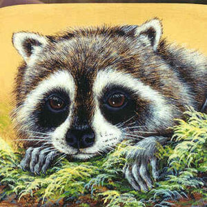 Moss Racoon