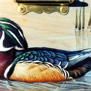 Wood Duck-Drake