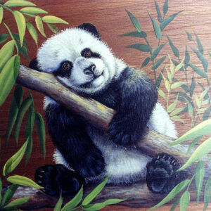 Baby Panda